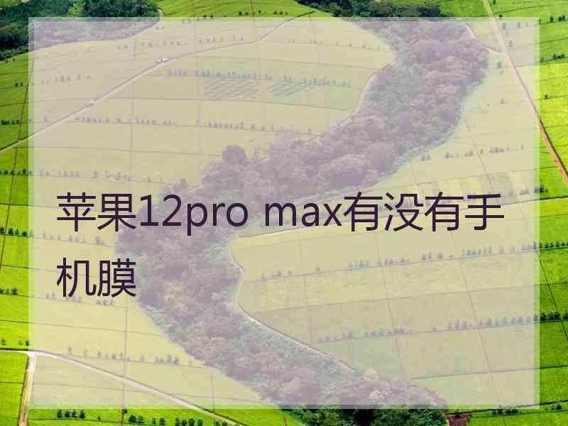 苹果12pro max有没有手机膜