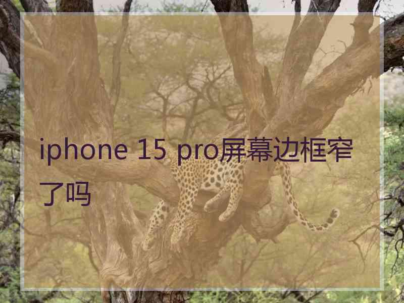 iphone 15 pro屏幕边框窄了吗