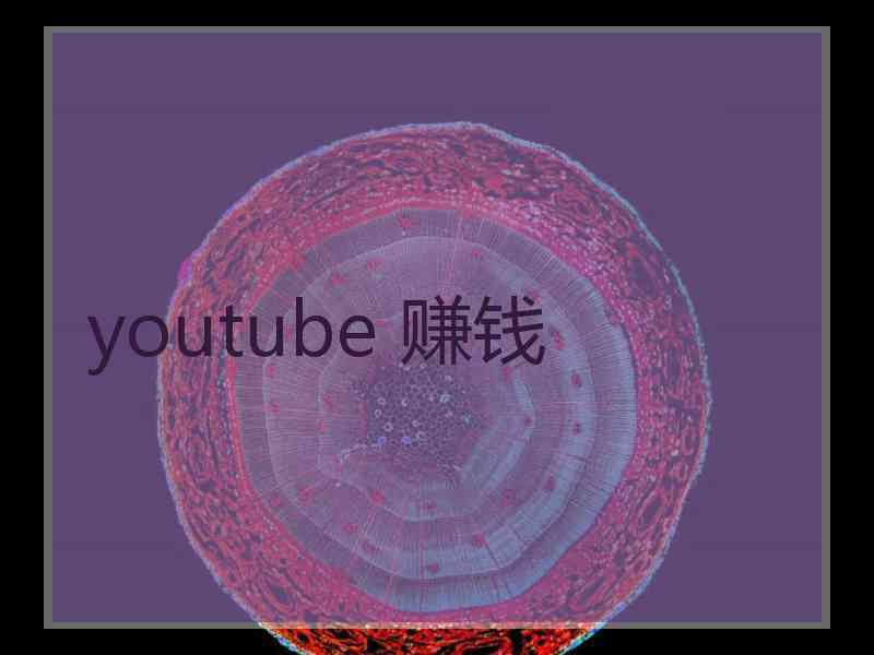 youtube 赚钱