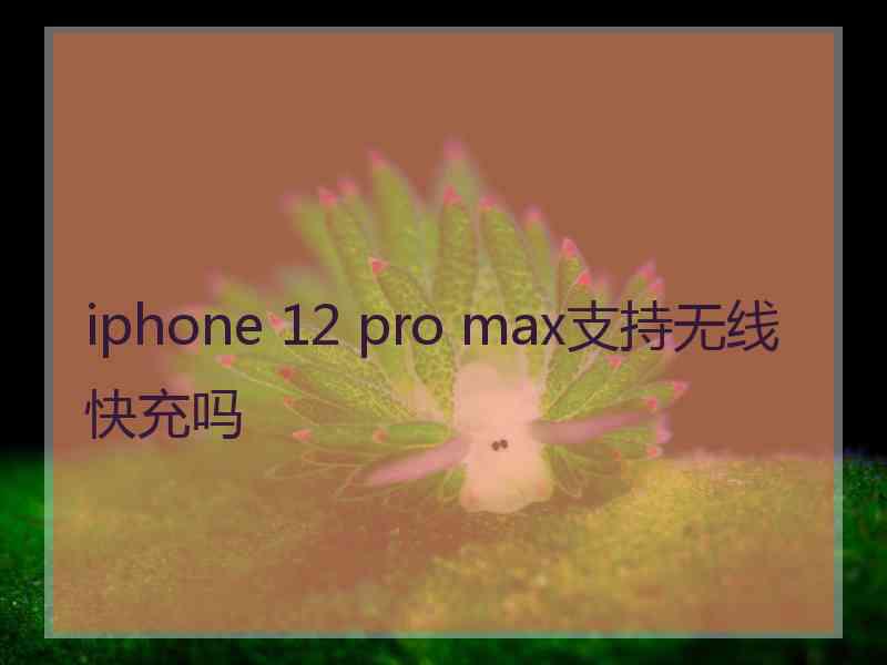 iphone 12 pro max支持无线快充吗