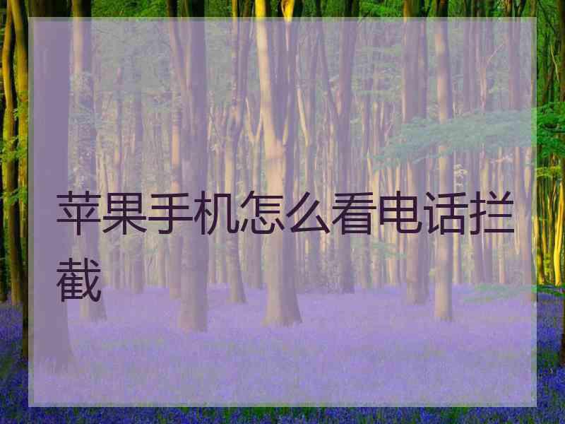 苹果手机怎么看电话拦截