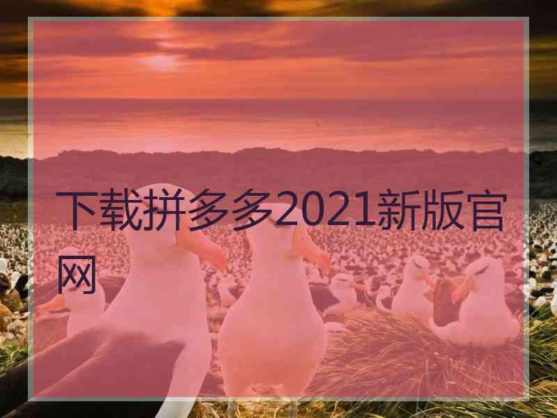 下载拼多多2021新版官网