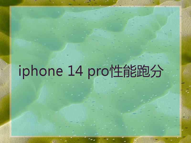 iphone 14 pro性能跑分