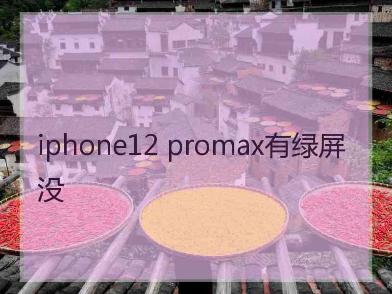 iphone12 promax有绿屏没