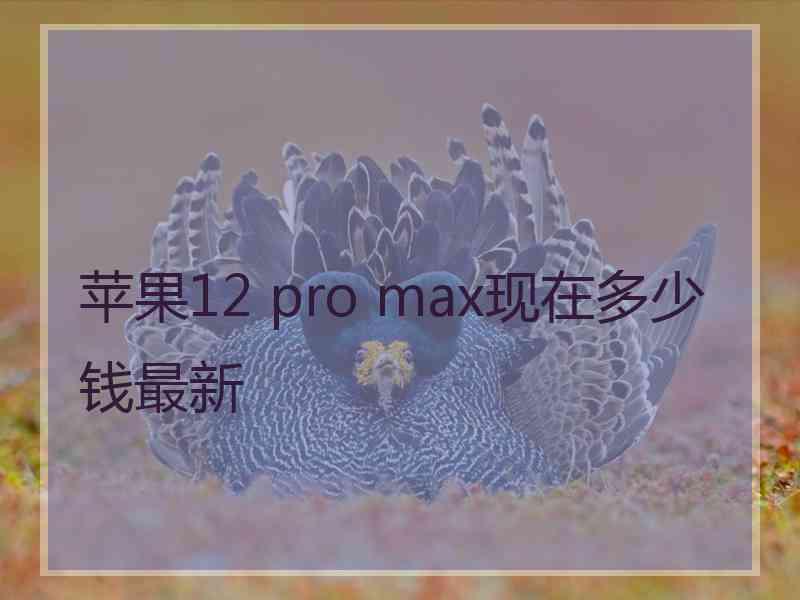 苹果12 pro max现在多少钱最新