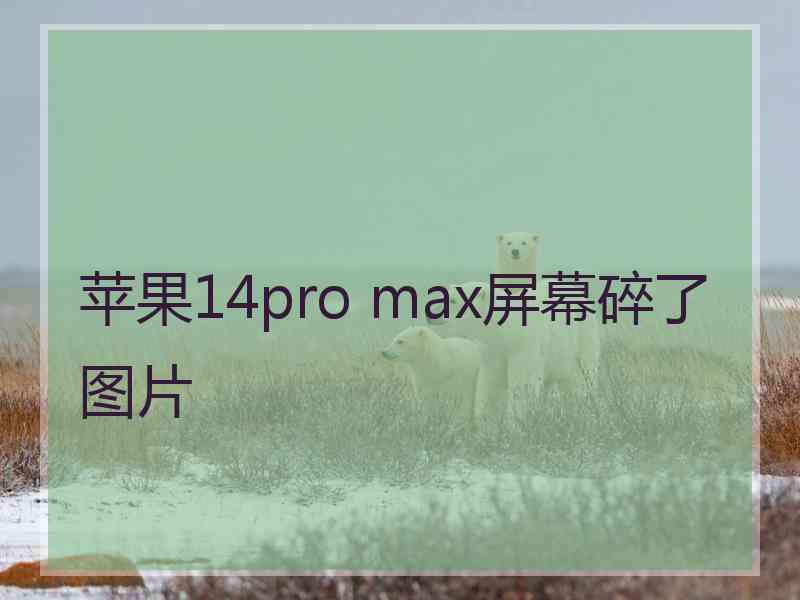 苹果14pro max屏幕碎了图片