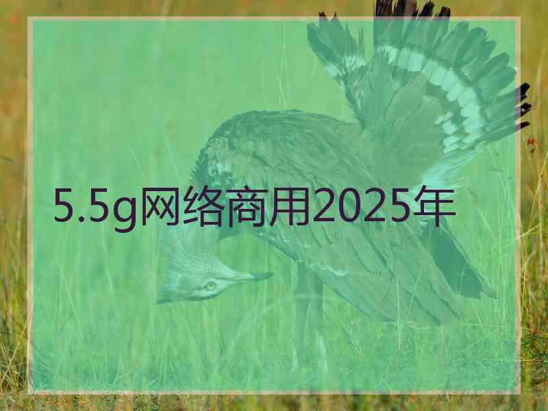 5.5g网络商用2025年