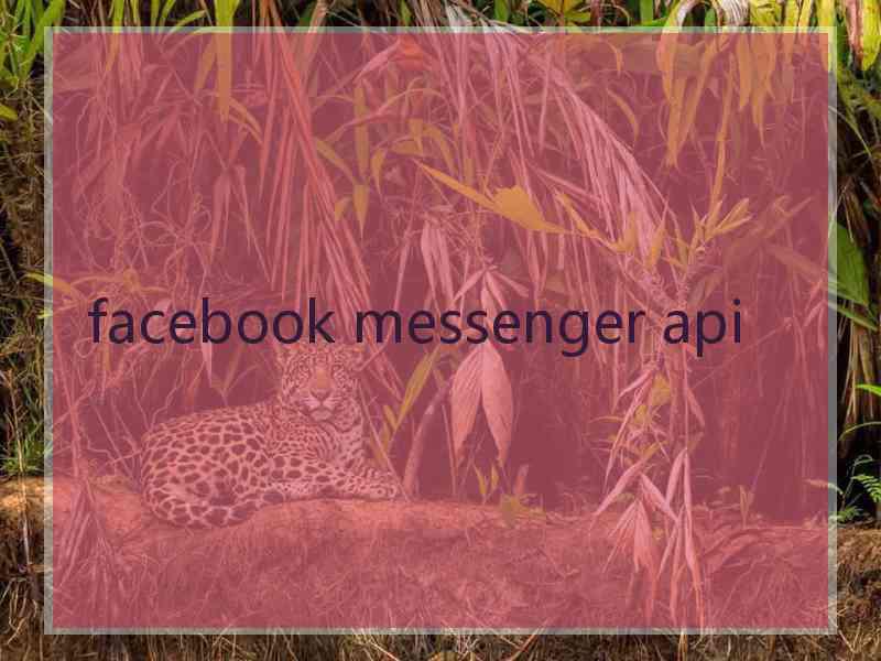 facebook messenger api