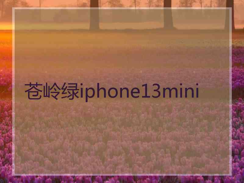 苍岭绿iphone13mini