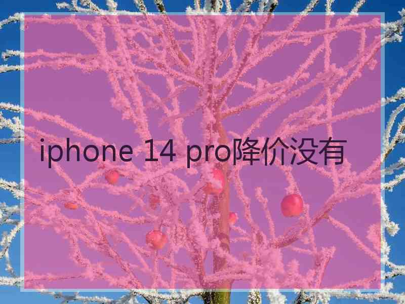 iphone 14 pro降价没有