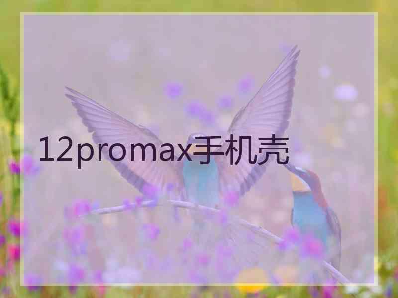 12promax手机壳