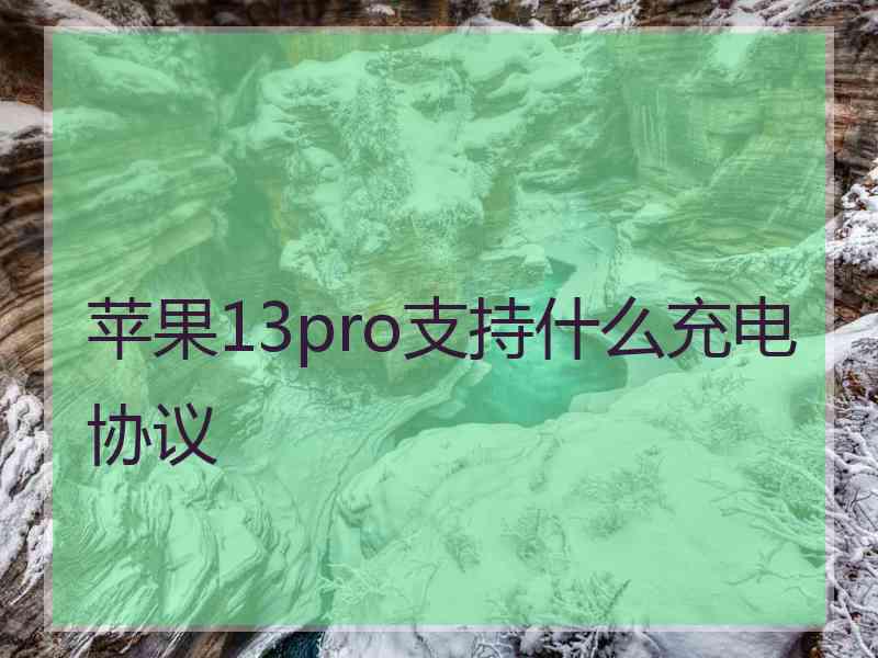 苹果13pro支持什么充电协议