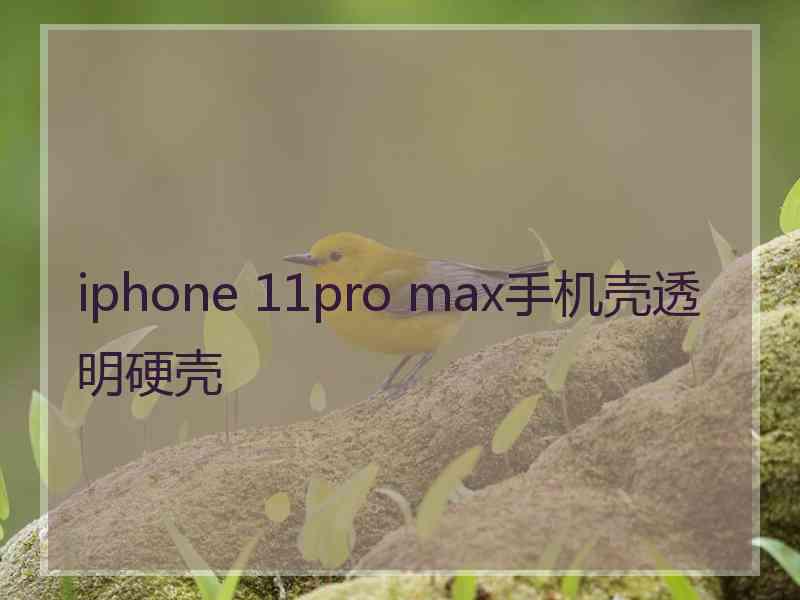 iphone 11pro max手机壳透明硬壳