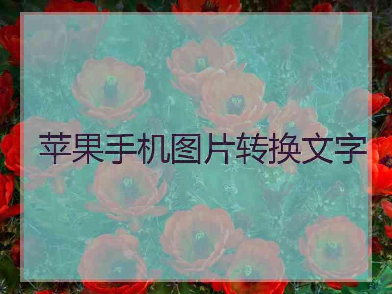 苹果手机图片转换文字