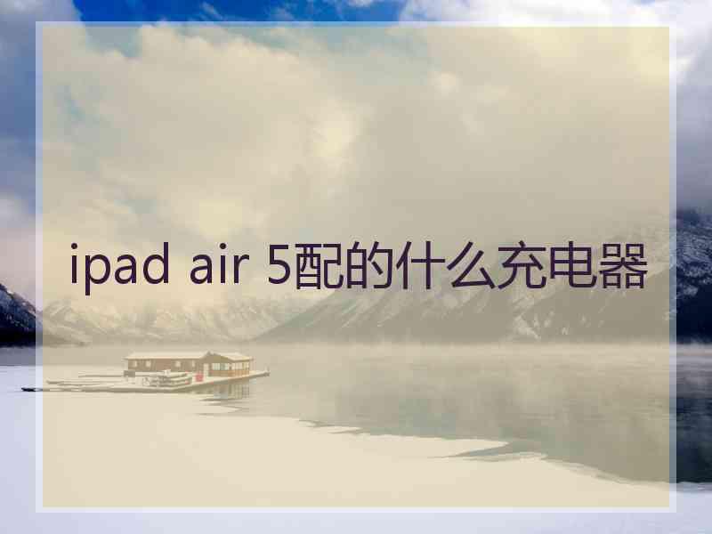 ipad air 5配的什么充电器