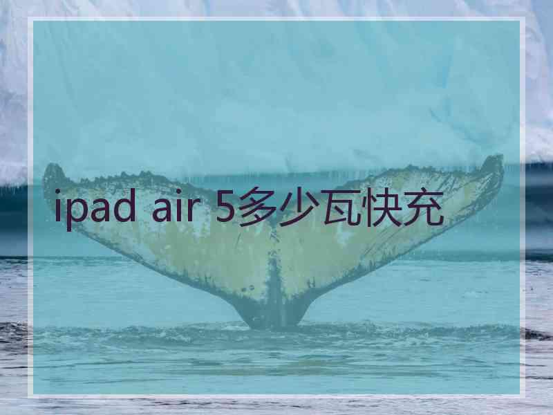 ipad air 5多少瓦快充