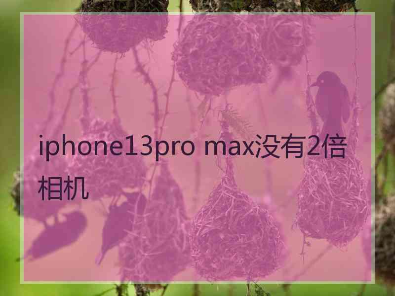 iphone13pro max没有2倍相机