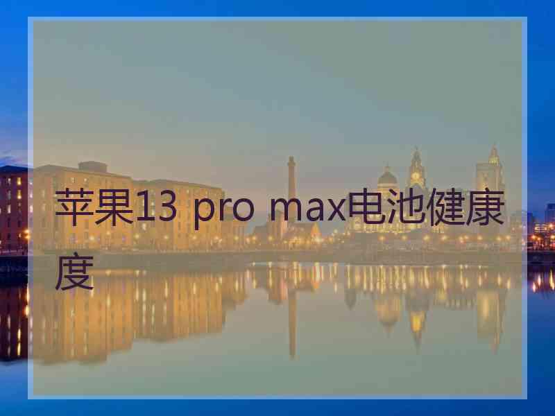 苹果13 pro max电池健康度