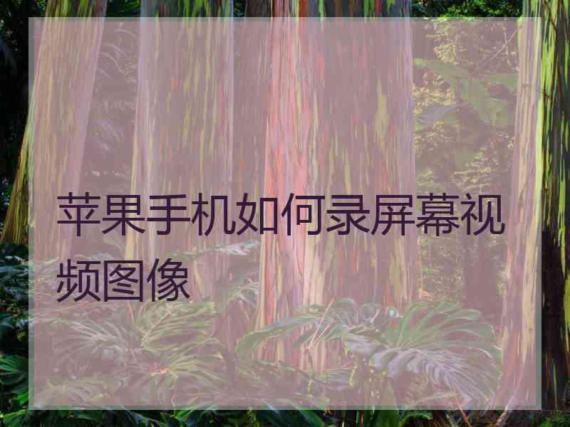 苹果手机如何录屏幕视频图像