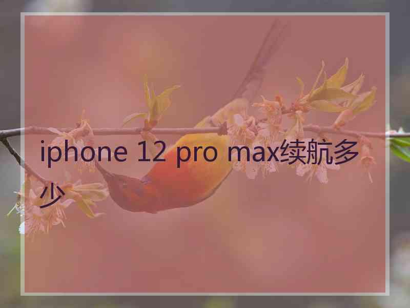 iphone 12 pro max续航多少