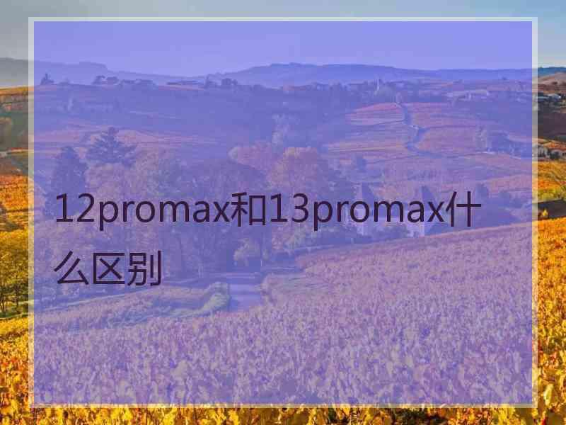 12promax和13promax什么区别