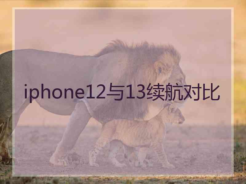 iphone12与13续航对比