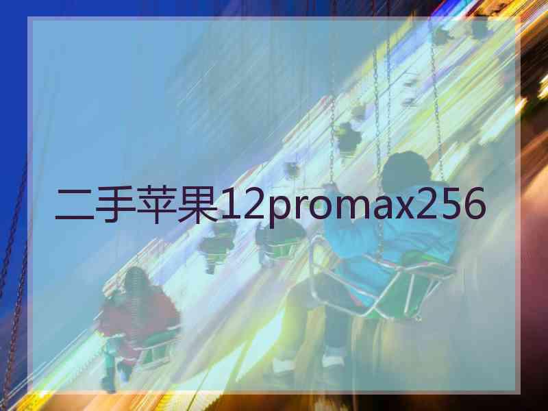 二手苹果12promax256