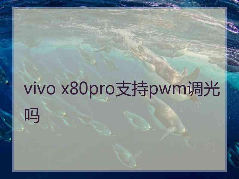 vivo x80pro支持pwm调光吗