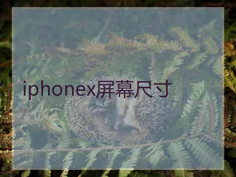 iphonex屏幕尺寸