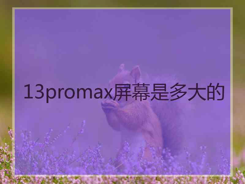 13promax屏幕是多大的