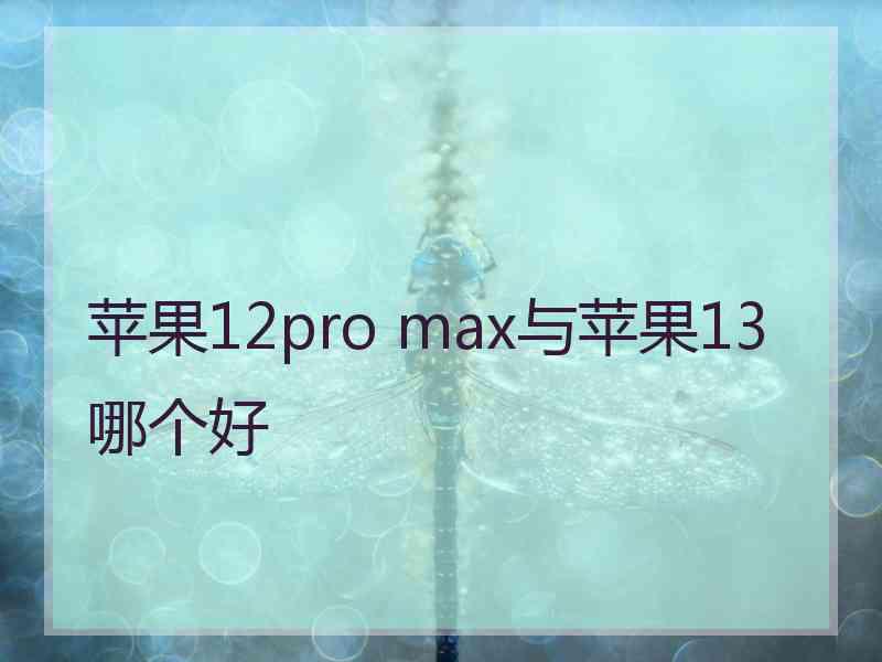 苹果12pro max与苹果13哪个好