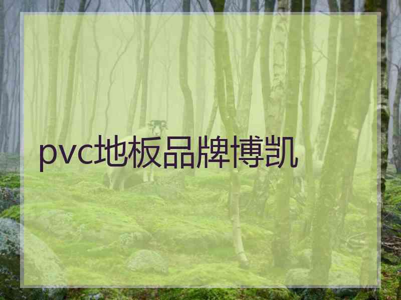 pvc地板品牌博凯