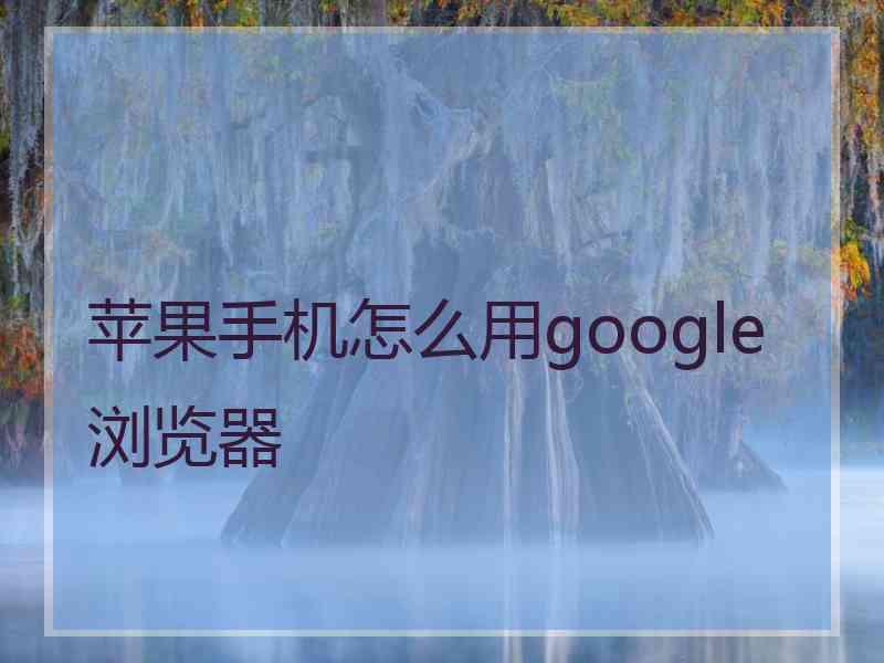 苹果手机怎么用google浏览器