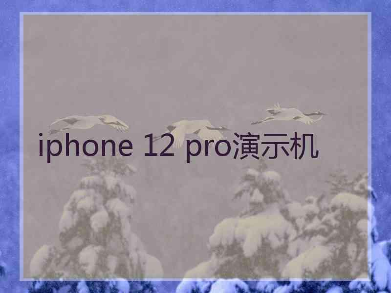 iphone 12 pro演示机