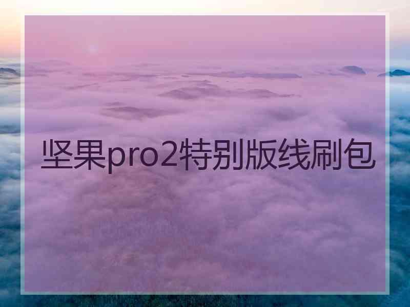 坚果pro2特别版线刷包