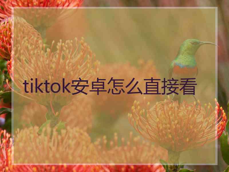 tiktok安卓怎么直接看