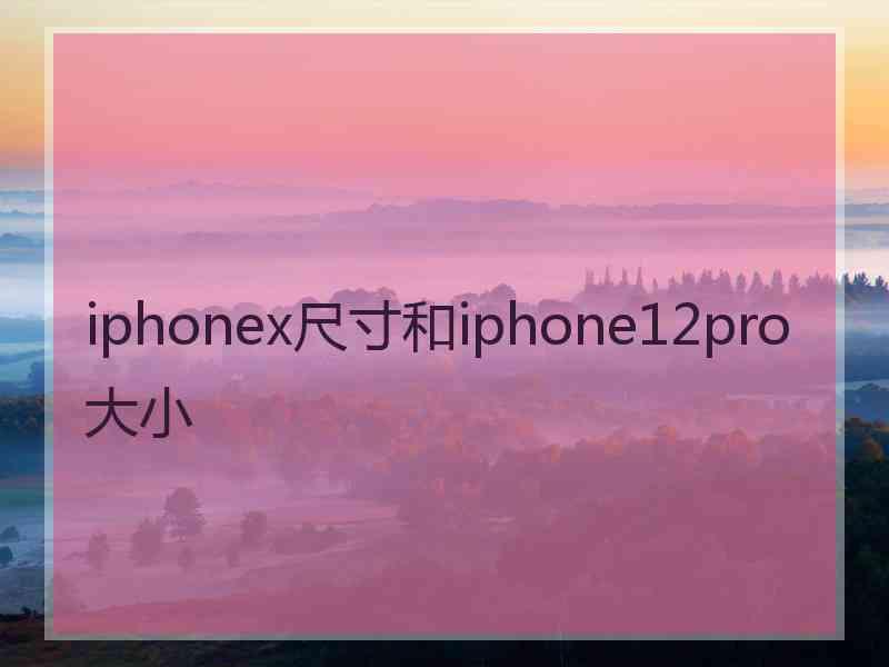 iphonex尺寸和iphone12pro大小