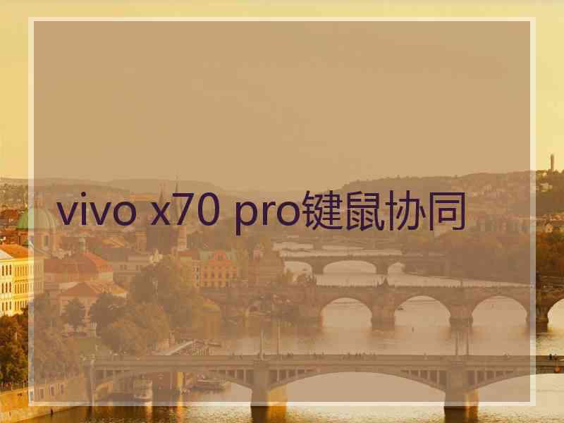 vivo x70 pro键鼠协同