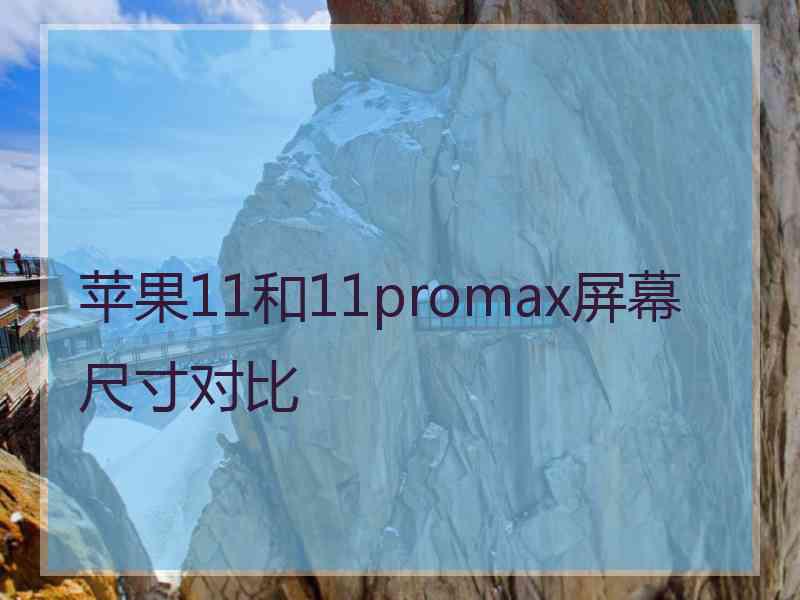 苹果11和11promax屏幕尺寸对比