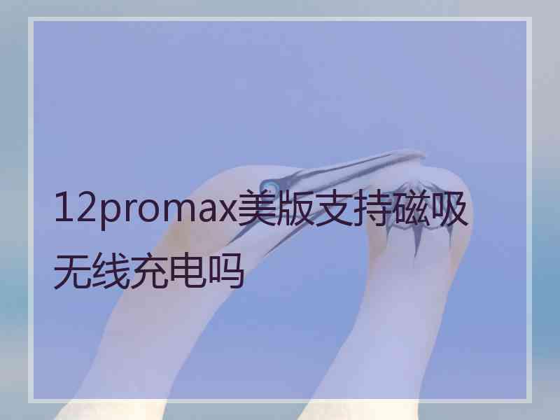 12promax美版支持磁吸无线充电吗