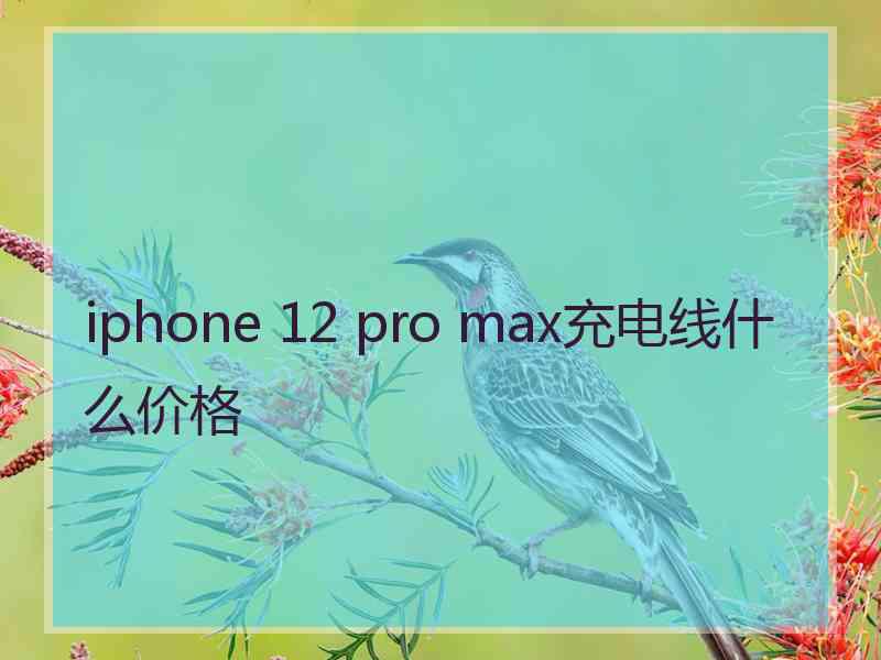 iphone 12 pro max充电线什么价格