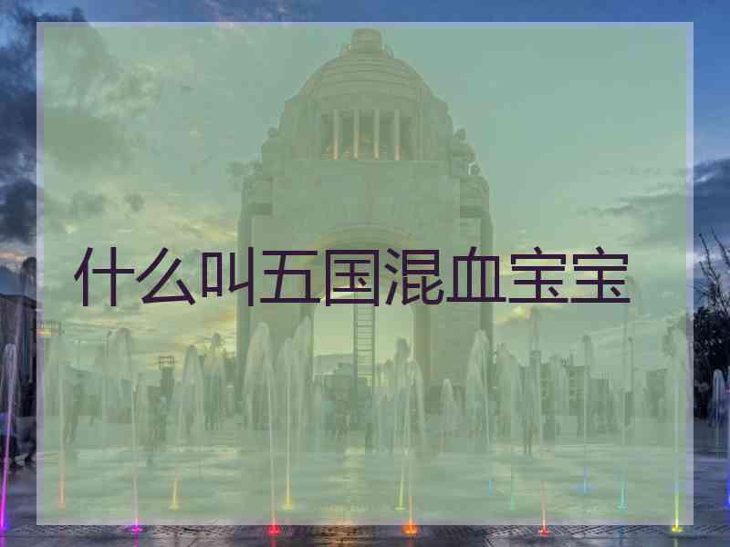 什么叫五国混血宝宝