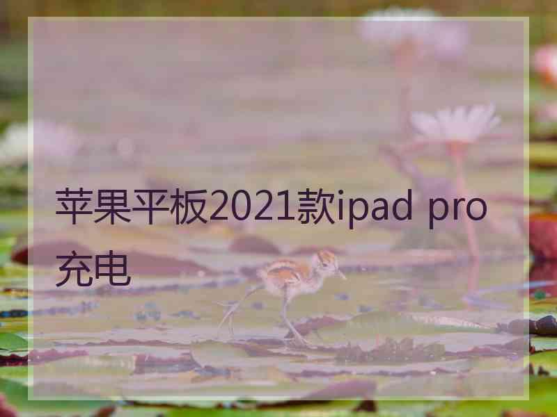 苹果平板2021款ipad pro充电