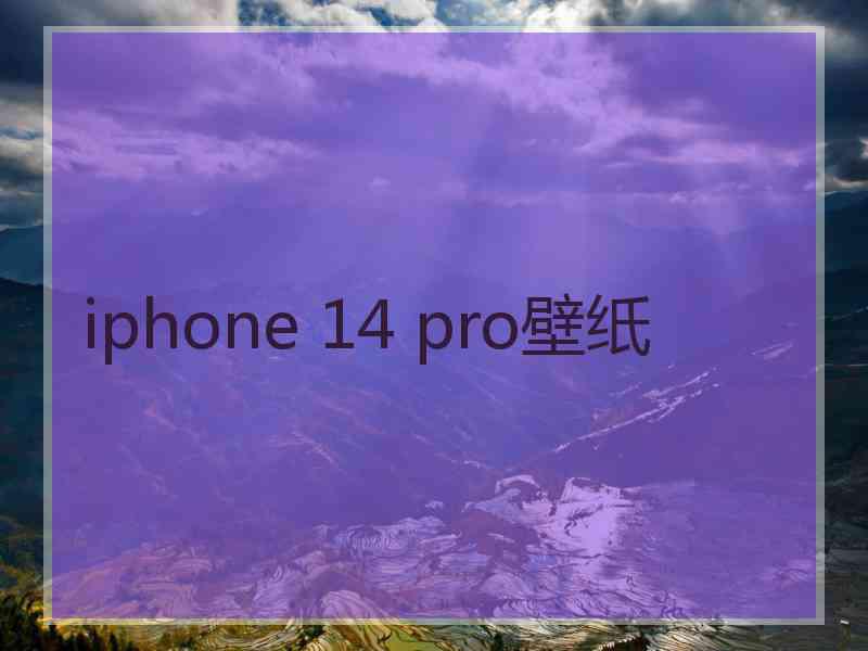 iphone 14 pro壁纸