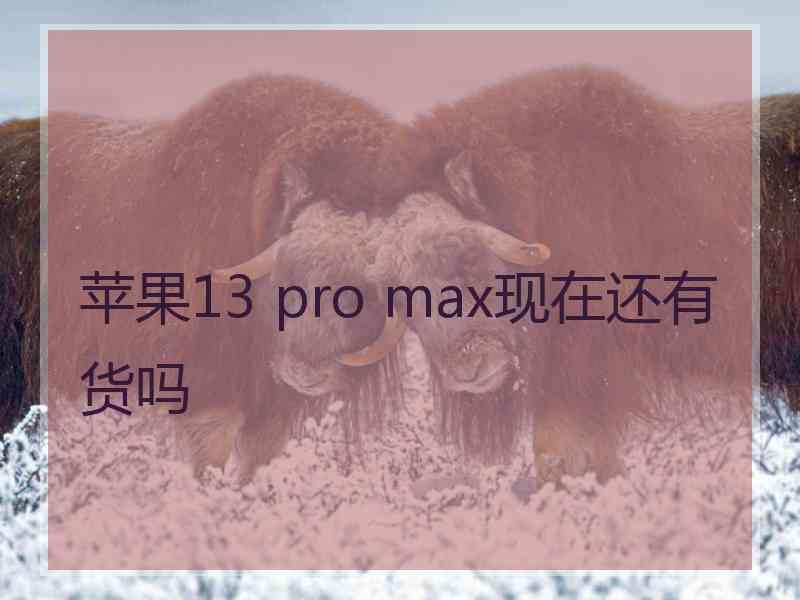 苹果13 pro max现在还有货吗