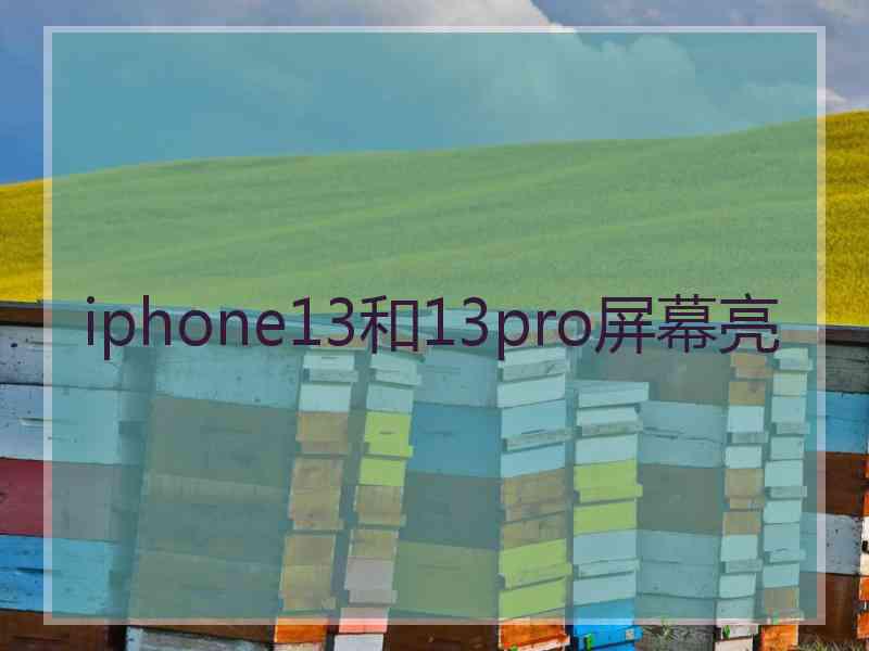 iphone13和13pro屏幕亮