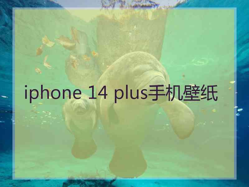 iphone 14 plus手机壁纸