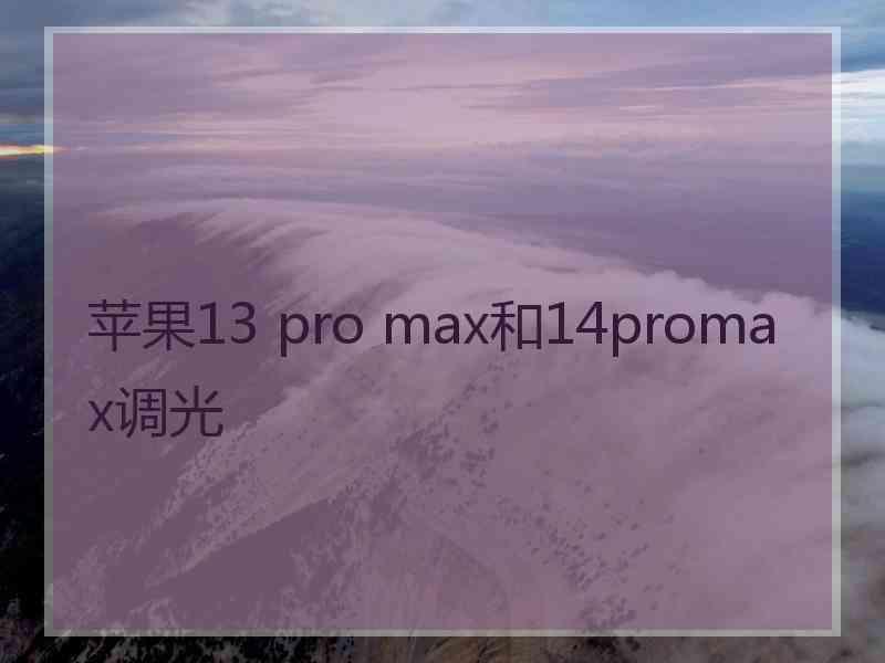 苹果13 pro max和14promax调光