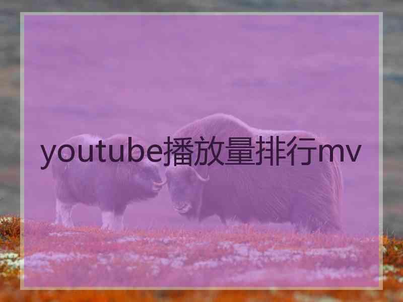 youtube播放量排行mv