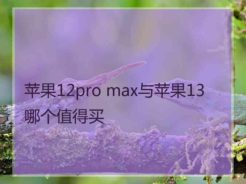 苹果12pro max与苹果13哪个值得买